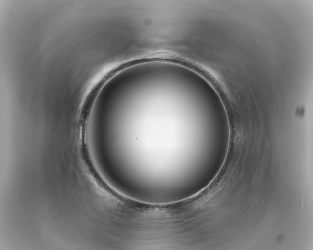 X0000094191414200711021018