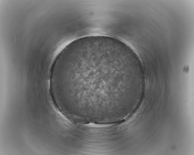X0000094191415200711021018