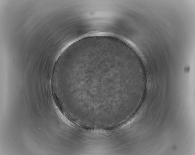 X0000094191417200711021018