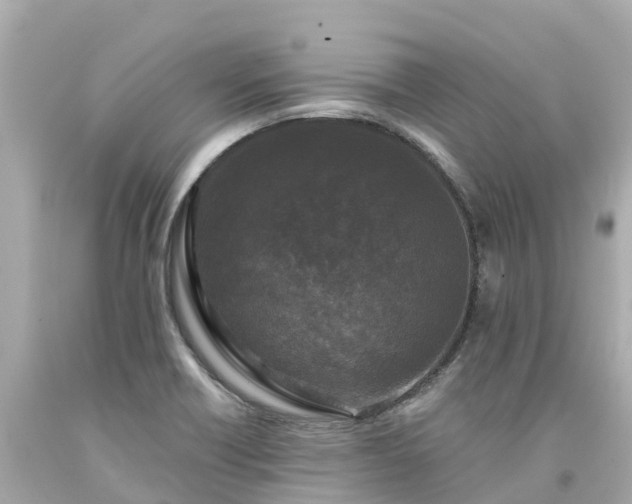 X0000094191418200711021018