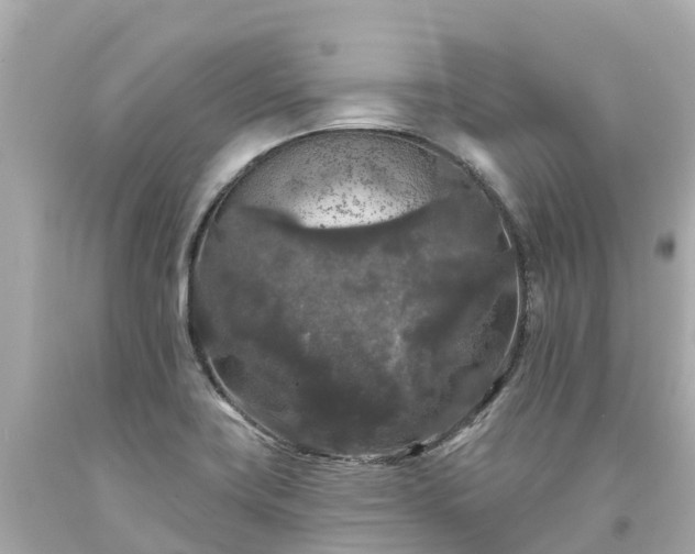 X0000094191419200711021018