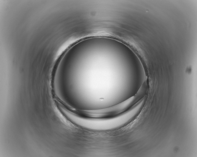 X0000094191422200711021018