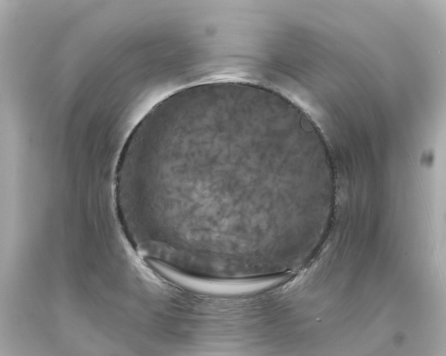 X0000094191423200711021018