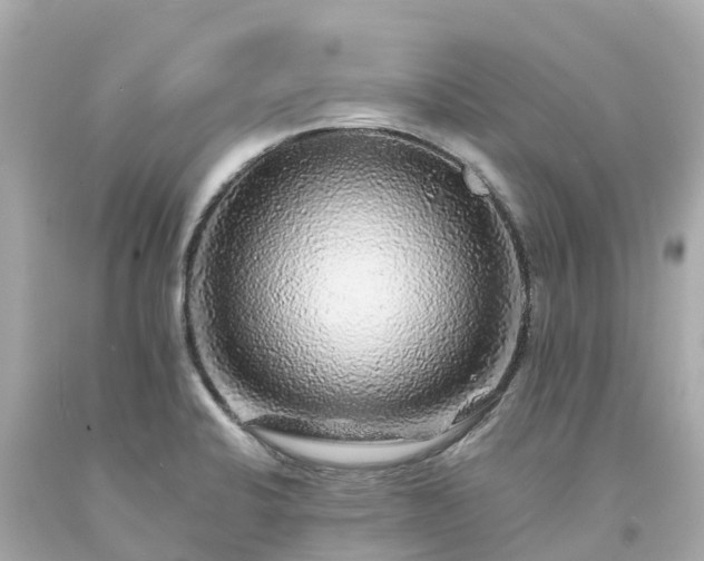 X0000094191424200711021018