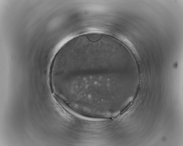X0000094191427200711021018