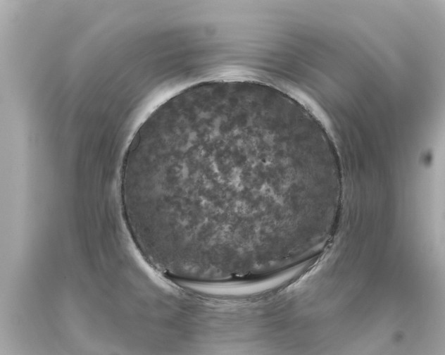 X0000094191429200711021018