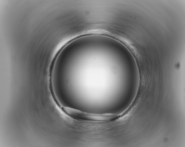 X0000094191430200711021018