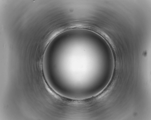 X0000094191433200711021018