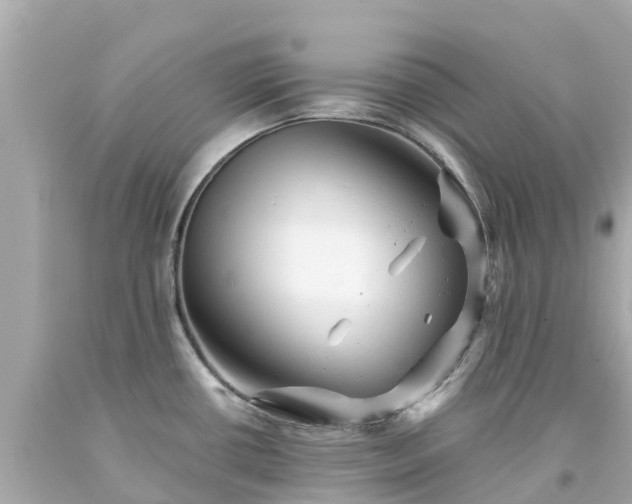 X0000094191434200711021018