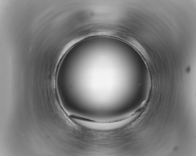 X0000094191436200711021018