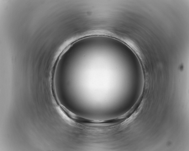 X0000094191438200711021018