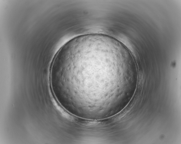 X0000094191439200711021018