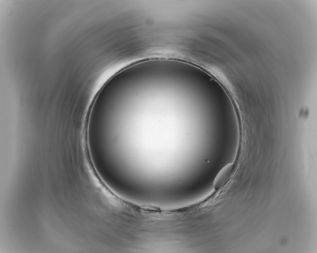 X0000094191440200711021018
