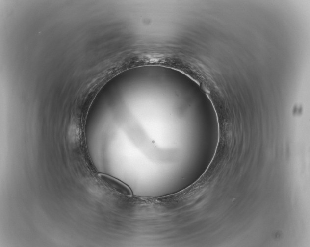 X0000094191442200711021017