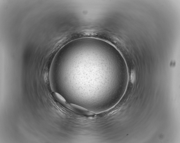 X0000094191444200711021017
