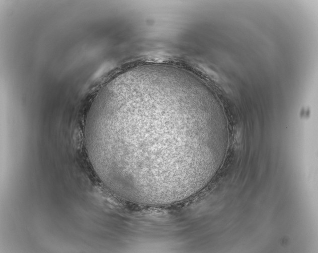X0000094191446200711021017