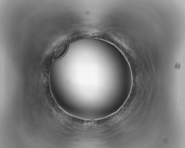 X0000094191447200711021017