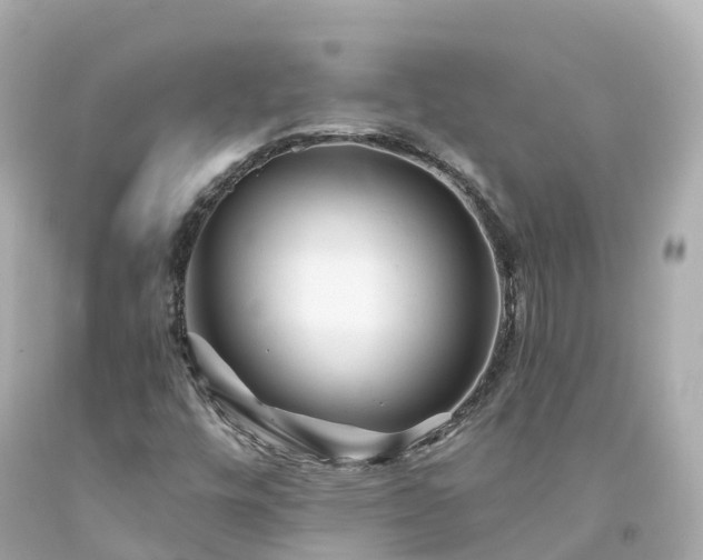 X0000094191448200711021017