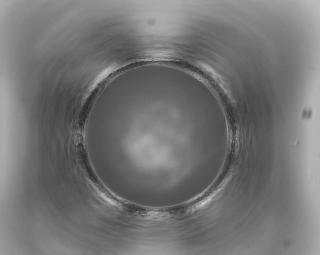 X0000094191449200711021017