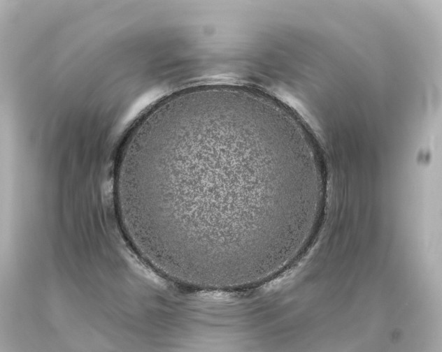 X0000094191450200711021017