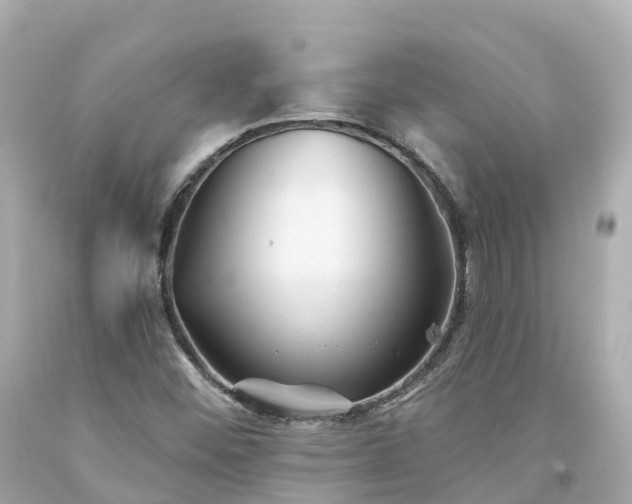 X0000094191452200711021017