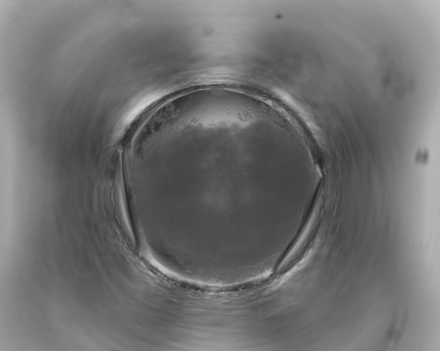 X0000094191453200711021017