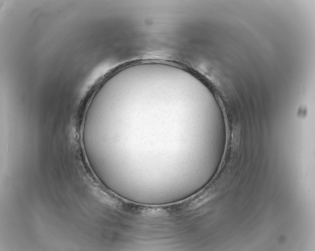 X0000094191454200711021017
