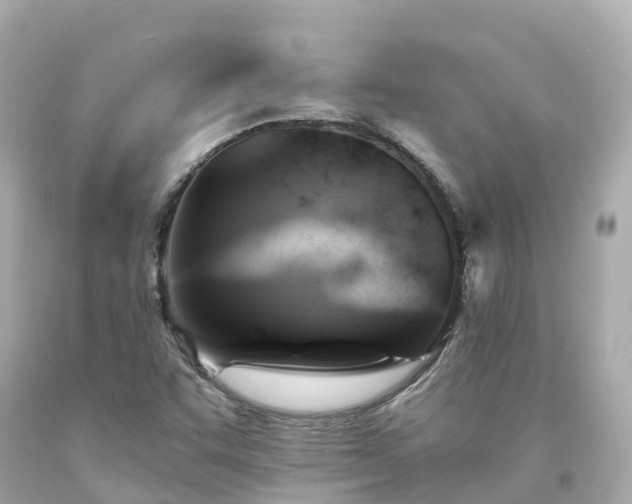 X0000094191455200711021017