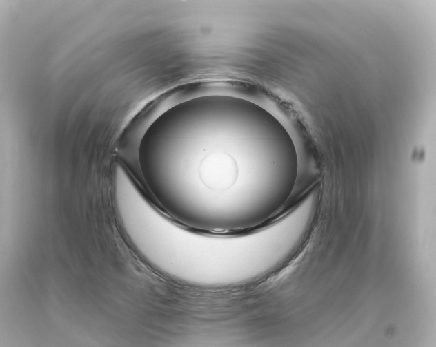 X0000094191457200711021017