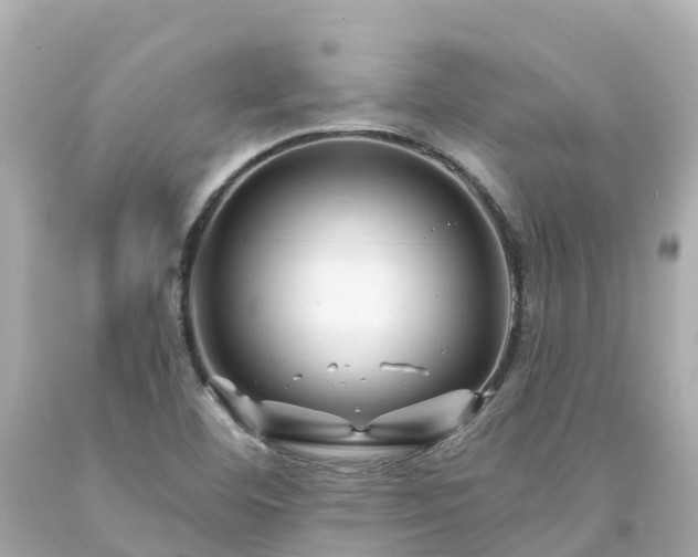 X0000094191460200711021017