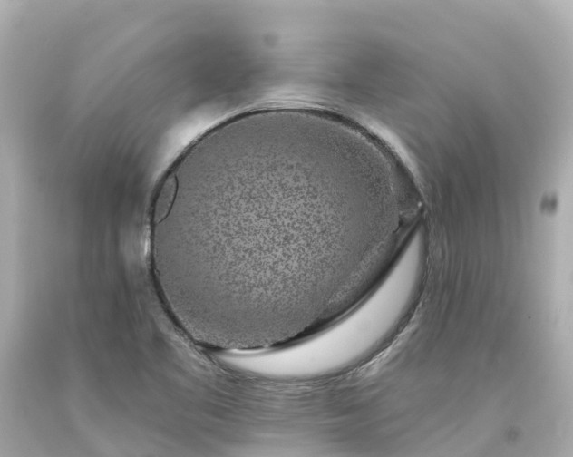 X0000094191461200711021017
