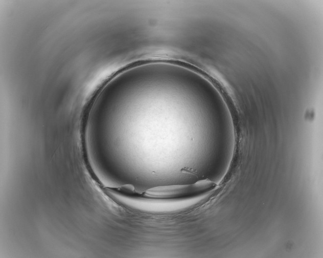 X0000094191464200711021017