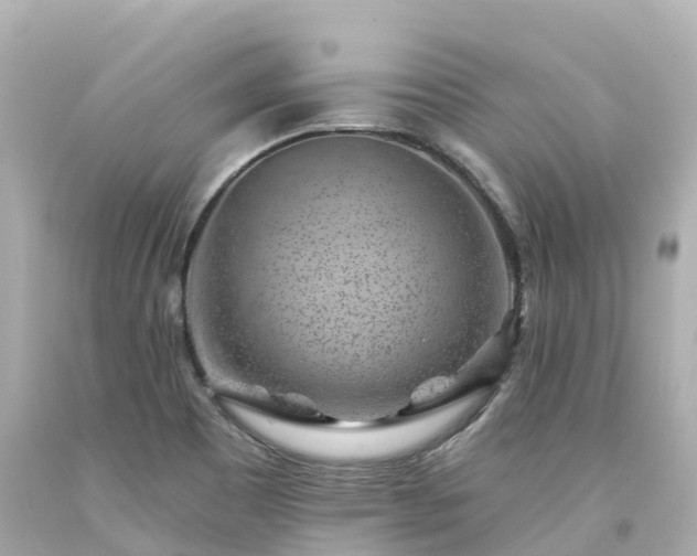X0000094191465200711021017