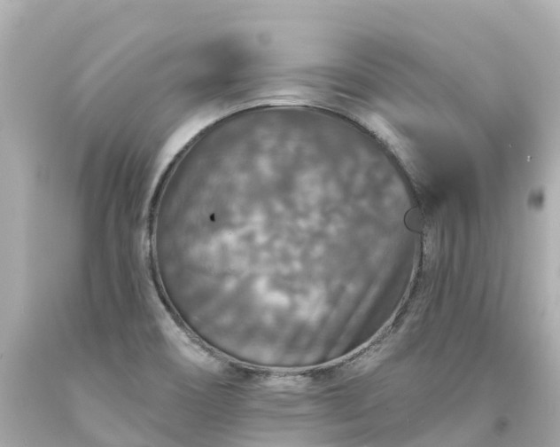 X0000094191466200711021017