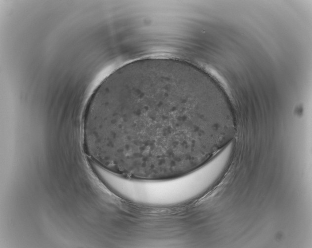 X0000094191467200711021017