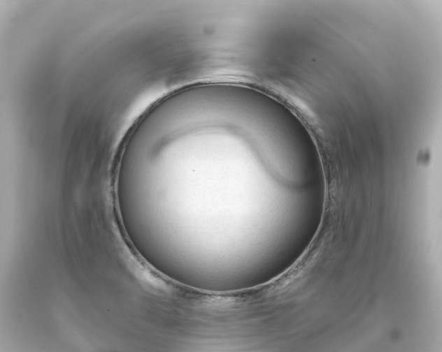 X0000094191470200711021017