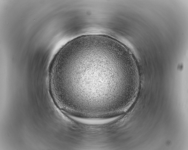 X0000094191472200711021017