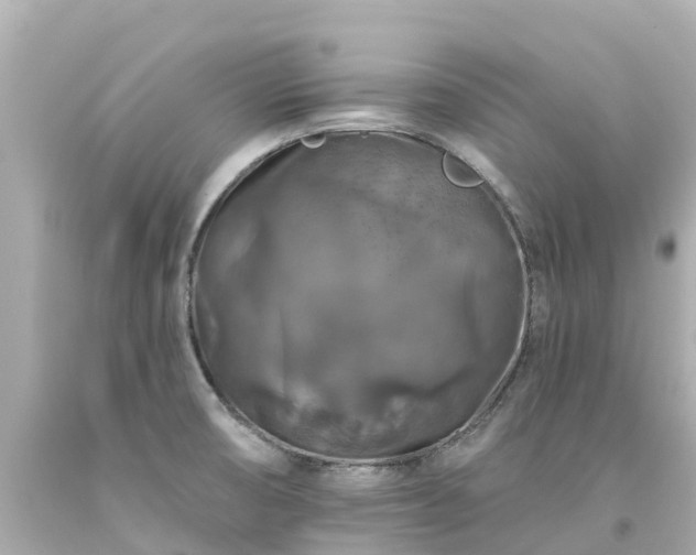 X0000094191474200711021017