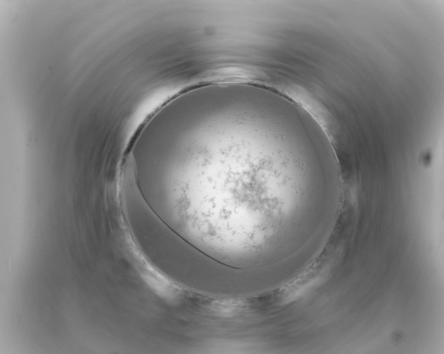 X0000094191477200711021017