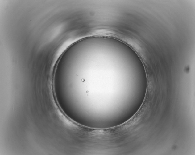 X0000094191478200711021017