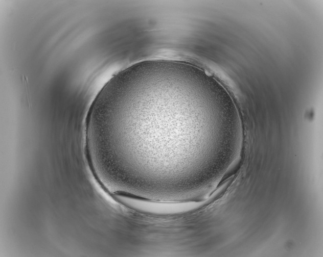 X0000094191479200711021017