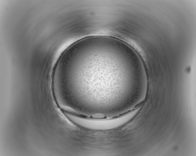 X0000094191480200711021016