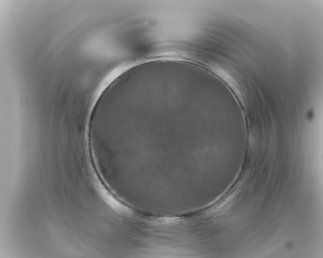 X0000094191482200711021016