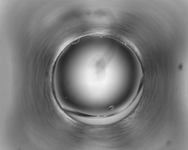 X0000094191483200711021016