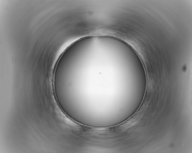 X0000094191486200711021016