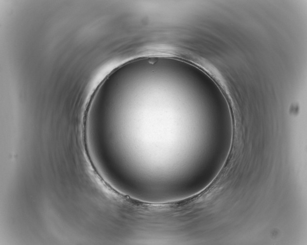 X0000094191488200711021016