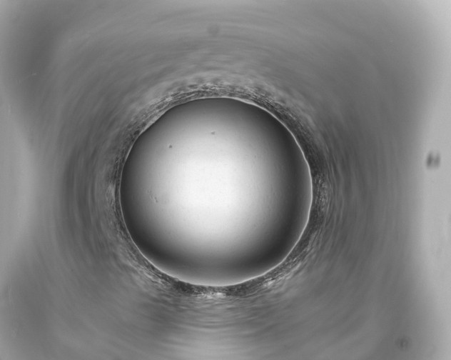 X0000094191489200711021016