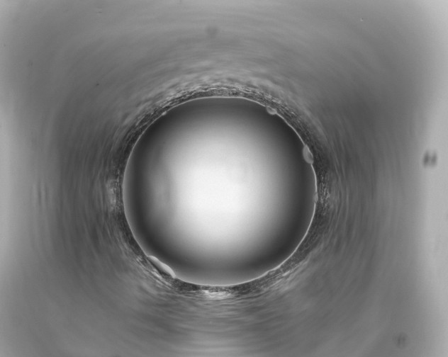X0000094191490200711021016