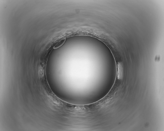 X0000094191491200711021016