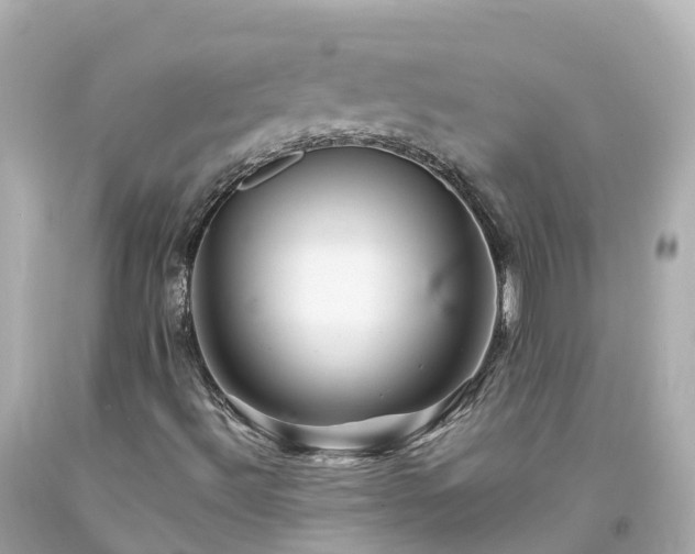 X0000094191492200711021016